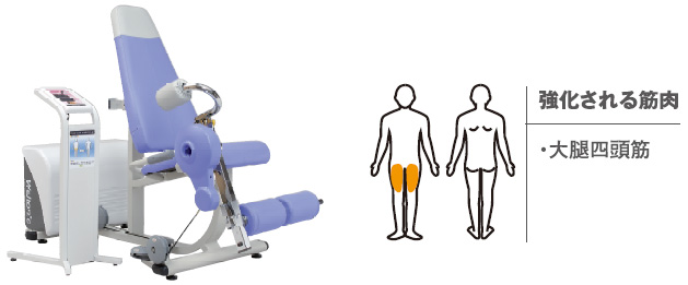 レッグエクステンション